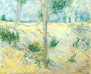 Vincent Van Gogh Trees on a slope oil